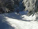 ski_nordique